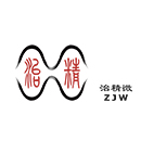 上海治精微電子有限公司